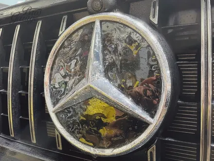 제주 전체 PPF G63 AMG 엑스펠 얼티메이트 플러스 PPF By. 브로스게러지