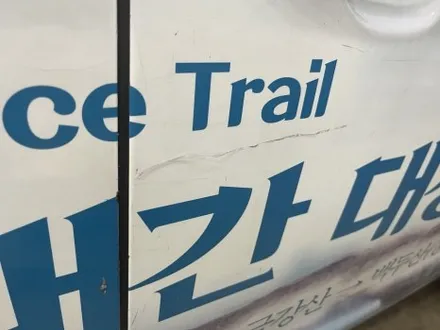 기아 카니발 광고랩핑 제거 / 수원 영통구 하동