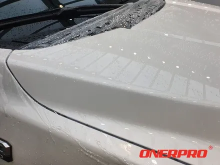 [포드 F150 리미티드] 오너프로PPF 실속패키지 시공 / 전남 순천