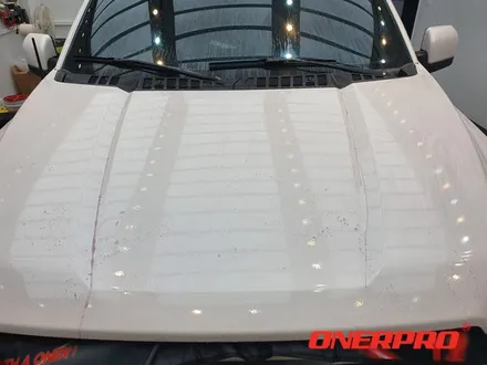 [포드 F150 리미티드] 오너프로PPF 실속패키지 시공 / 전남 순천