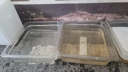 노원 에바크리닝 아우디 A6 수입차 에어컨냄새 히터냄새 담배냄새제거  도봉 의정부 양주 / 남양주 구리 하남