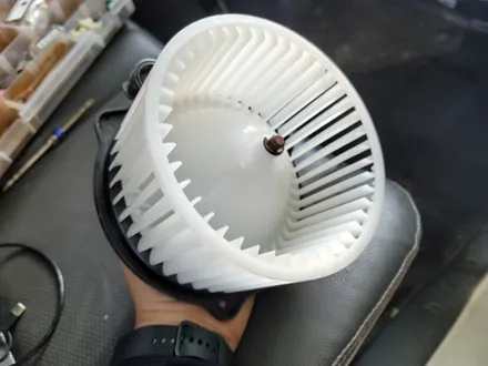 의정부 에바크리닝 실내크리닝 담배냄새제거 봉고3 포터 자동차 에어컨냄새제거 청소 양주 노원 강북 도봉 / 남양주 구리 하남
