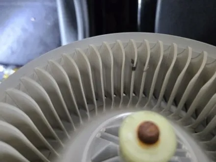 분당에바크리닝 자동차에어컨청소 전문가를 찾고 계신가요? / 남양주시 덕소