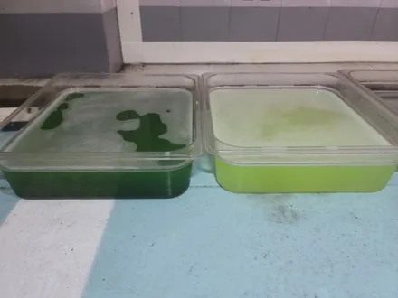 시흥 에바크리닝 쏘렌토R 자동차 에어컨냄새 히터냄새 제거 청소 군포 안양 의왕 평촌 / 남양주 구리 하남