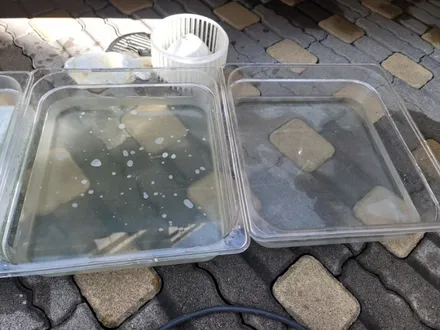 성남 실내크리닝 에바크리닝 중고차 에어컨냄새 제거 청소 판교 분당 송파 / 남양주 구리 하남