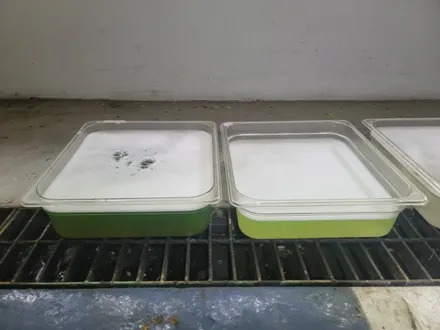 구리시 구리 에바크리닝 로체 에어컨냄새 히터냄새 남양주 하남 의정부 양주 / 남양주 구리 하남