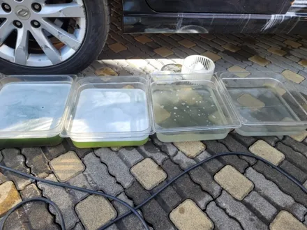 성남 실내크리닝 에바크리닝 중고차 에어컨냄새 제거 청소 판교 분당 송파 / 남양주 구리 하남