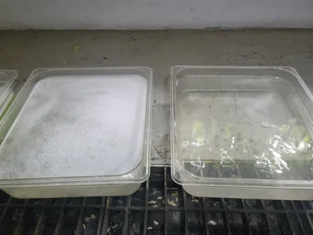 구리시 구리 에바크리닝 로체 에어컨냄새 히터냄새 남양주 하남 의정부 양주 / 남양주 구리 하남