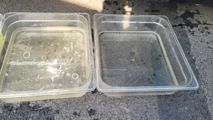 포천 에바크리닝 제네시스 G90 에어컨냄새 히터냄새제거 청소 양주 의정부 강북 / 남양주 구리 하남