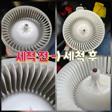 렉서스 CT200h 에바크리닝, 에어컨 곰팡이 냄새와 세균 완벽하게 잡는 방법 (동대문 출장) / 남양주시 덕소