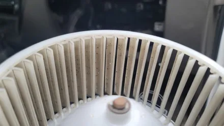 구리 실내크리닝 에바크리닝 포터2 자동차 에어컨냄새 히터냄새 제거 청소 남양주 하남 강동 / 남양주 구리 하남