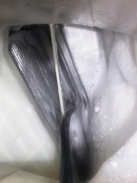 렉서스 CT200h 에바크리닝, 에어컨 곰팡이 냄새와 세균 완벽하게 잡는 방법 (동대문 출장) / 남양주시 덕소