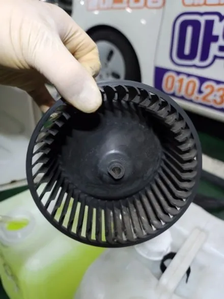 성북구 모닝 곰팡이제거 실내크리닝 에바크리닝 도봉구 노원 동대문 / 남양주시 덕소