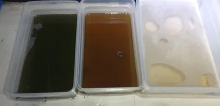 강남구 강남 미니쿠퍼 컨트리맨 에바크리닝 에어컨곰팡이제거도 구리실내크리닝 아우라퍼플 입니다 / 남양주시 덕소
