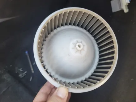성남 실내크리닝 에바크리닝 중고차 에어컨냄새 제거 청소 판교 분당 송파 / 남양주 구리 하남