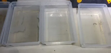 강남구 강남 미니쿠퍼 컨트리맨 에바크리닝 에어컨곰팡이제거도 구리실내크리닝 아우라퍼플 입니다 / 남양주시 덕소