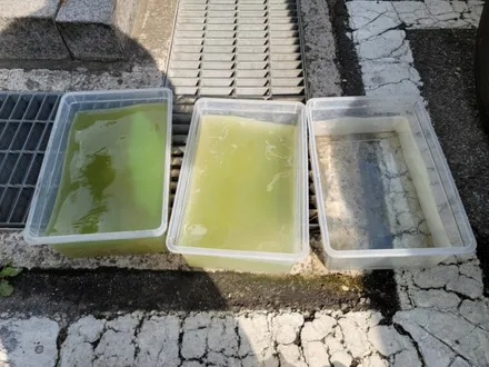 구리시 구리 인창동 에바크리닝 자동차에어컨냄새 토평동 수택동 교문동 갈매동 사노동 아천동 / 남양주시 덕소
