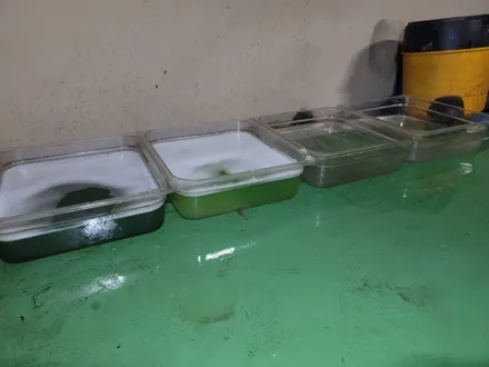 용산구 용산 로체 곰팡이제거 실내크리닝 에바크리닝 / 남양주시 덕소