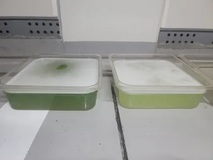 강동에바크리닝 제네시스G80 자동차 에어컨냄새 히터냄새 강남 송파 서초 동작 / 남양주 구리 하남