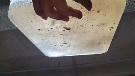 하남 에바크리닝 QM3 자동차 에어컨냄새 히터냄새 제거 청소 구리 중랑 동대문 / 남양주시 덕소