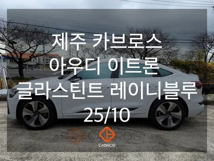 미래지향적 디자인 아우디 e-트론과 이색적인 레이니블루의 만남