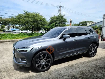 [카브로스 제주] 볼보 XC60 글라스틴트 신제품 \