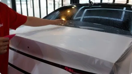 제네시스 g90 신형 PPF 전체시공 카플렉스본점을 선택해야 하는이유 / 서울 강서구