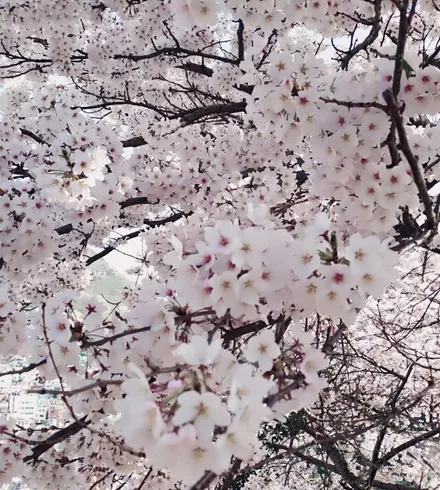 영등포 네비게이션 매립전문샵/그랜져썬팅/IG썬팅시공/IG레이노썬팅/영등포IG신차검수/영등포그랜져매립/레이노S7시공 / 영등포구 문래동