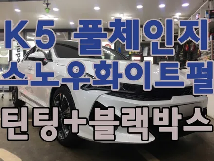 k5 풀체인지 스노우화이트펄 신차 검수+틴팅+블랙박스 장착/ 시트 색상-새들 브라운 / 서울 양천, 구로, 강서, 영등포, 부천
