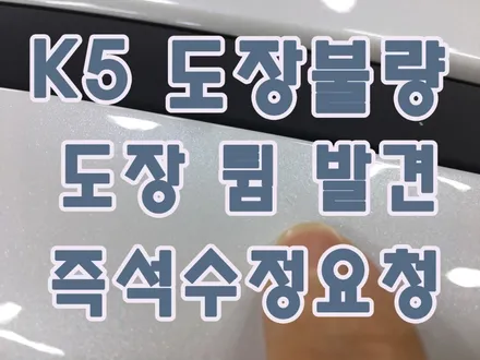 영등포 신차검수) 스노우 화이트 펄 K5 도장불량 발견(도장튐) 즉석수정요청 / 서울 양천, 구로, 강서, 영등포, 부천