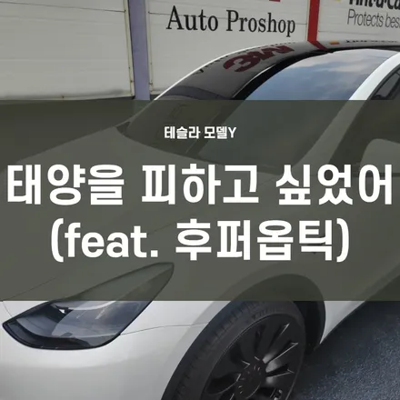 영등포 테슬라 모델Y 썬팅후 태양열 차단 성공! 모델Y 루프 시공! 한다 VS 안한다? 영등포 레인보우 엠앤씨 / 서울 양천, 구로, 강서, 영등포, 부천