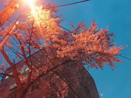 문래점 3M 썬팅 오토프로샵/ 그랜져IG 전면(CP50%)측후면(CP15%)시공 /시인성 좋은 자동차필름은 3M필름/ 정품3M보증서 확인방법은? / 영등포구 문래동