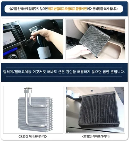 [카스토리 양재점]팰리세이드 에코파워캡+코코블로워 / 서울 서초구