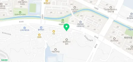 레인지로버 보그 썬팅 시공기 레이노 S5 전면썬팅 35%수입차썬팅 자외선차단전면썬팅 / 서울 서초구