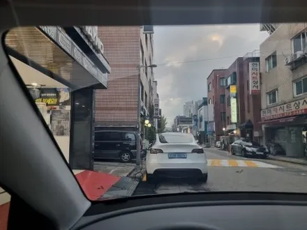 강남 테슬라Y 레이노F95 썬팅 환절기 민감한 피부를 위한 햇빛차단은 필수 / 서울 서초구