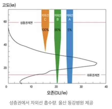 강남 테슬라Y with 디아블로R 썬팅 자외선 차단율의 진실 / 서울 서초구