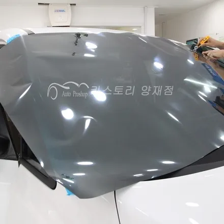 카니발신차패키지 카니발레이노썬팅 레이노크로마9썬팅 뷰게라블랙박스장착 PPF생활보호패키지 라이트PPF / 서울 서초구