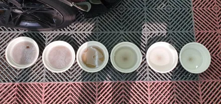 제네시스 오너들이 많이 찾는 김포 에바크리닝, 이유가 있습니다 / 경기 김포