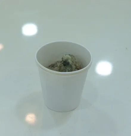 루프스킨 재시공 가격 비용에 대해 k5 차량 / 대구 북구 검단동