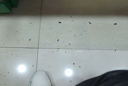 BMW F10 모니터 마감재 테두리 벗겨짐 랩핑 / 작업을 권하지 않는 작업 ㅎㅎ / 대구 북구 검단동
