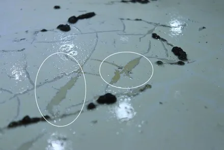 대구 루프스킨 제거 / 아반떼 md / 카앤맨 / 대구 북구 검단동