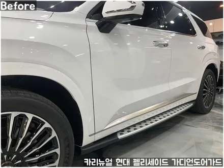 현대 팰리세이드 가디언 도어가드 싱글패키지 동작구 보라매 랩핑전문점 카리뉴얼 / 서울 동작구