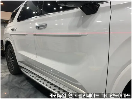 현대 팰리세이드 가디언 도어가드 싱글패키지 동작구 보라매 랩핑전문점 카리뉴얼 / 서울 동작구