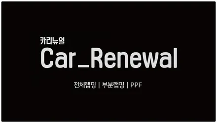 현대 팰리세이드 가디언 도어가드 싱글패키지 동작구 보라매 랩핑전문점 카리뉴얼 / 서울 동작구
