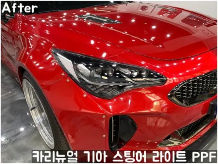 기아 스팅어 헤드라이트 PPF로 스톤칩 스크래치 방지! 동작구 랩핑전문점 카리뉴얼 / 서울 동작구