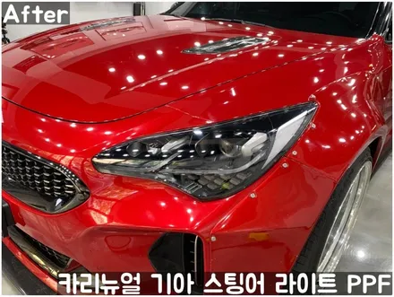 기아 스팅어 헤드라이트 PPF로 스톤칩 스크래치 방지! 동작구 랩핑전문점 카리뉴얼 / 서울 동작구