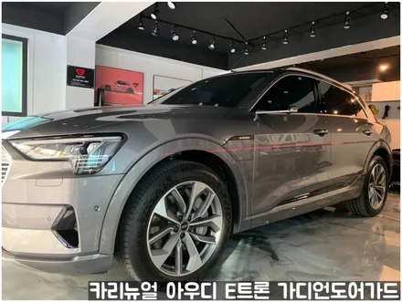아우디 E트론 가디언 도어가드 싱글패키지 동작구 보라매 랩핑전문점 카리뉴얼 / 서울 동작구