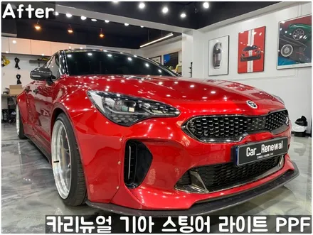 기아 스팅어 헤드라이트 PPF로 스톤칩 스크래치 방지! 동작구 랩핑전문점 카리뉴얼 / 서울 동작구