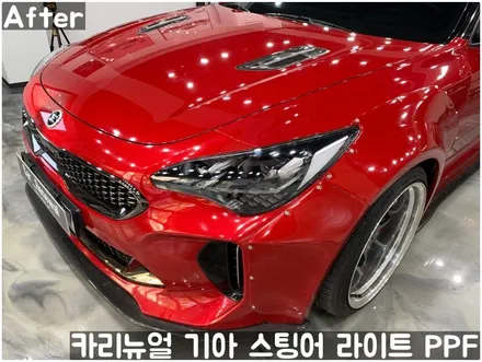 기아 스팅어 헤드라이트 PPF로 스톤칩 스크래치 방지! 동작구 랩핑전문점 카리뉴얼 / 서울 동작구