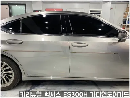 렉서스 ES300H 가디언도어가드 메탈릭티타늄 싱글패키지 동작구 랩핑전문점 카리뉴얼 / 서울 동작구